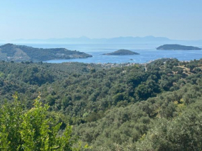 Tierra 1